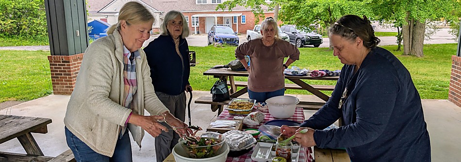 Norris Picnic Norris Picnic